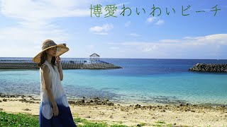 上野の博愛漁港近くの わいわいビーチ（防波堤の外側にはウミガメがいます）