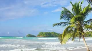 .Surah At-Tin. the ninety-fifth surah of the Holy Qur'an, with 8 ayat or verses.