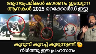 ആനപ്രേമികൾ കാരണം ഇടയുന്ന ആനകൾ 🙄 2025_ൽ കുറുമ്പ് കുറച്ച് കൂടുന്നുണ്ട് 😲 നിർത്തു ഈ പ്രഹസനം 🙏