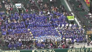 東海大市原望洋(千葉代表) 高校野球 応援歌 2017センバツ高校野球 甲子園