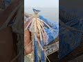 Wow😜Big Shrimp/Prawn Fish✅Boat Fishing Video।।Bangladesh Big River Fish 🐟