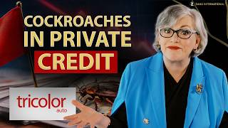 Cockroaches Emerge in Private Credit: Don't Ignore These Red Flags