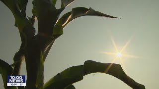 2021 Weather in Review: Minnesota sees a year of extremes | FOX 9 KMSP