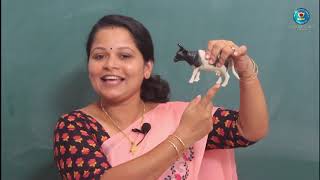 മലയാളം അക്ഷരം 'റ'  #MALAYALAM CLASS  #KIDS EDUCTION