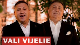 Vali Vijelie & Cornel Cojocaru - Cu viata mea la o cafea (OFFICIAL VIDEO) 2024