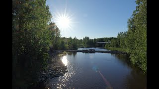 2024/06/23...25 Jyväskylä: Tourujoen kunnostus, sorsia jne. / Rebuilding river Tourujoki, ducks etc.