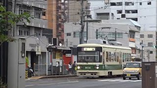 【広島電鉄】2代目804号(舟入本町、2024年)