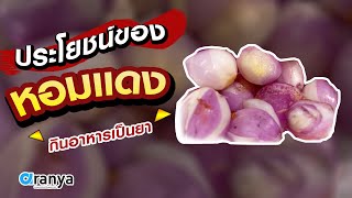 ประโยชน์ของหอมแดง  สมุนไพร กินอาหารเป็นยา | Aranya Channel