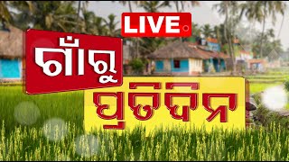 🔴Live | ଗାଁରୁ ପ୍ରତିଦିନ | Gaon ru Pratidin | 15th February 2025 | Odisha TV | OTV