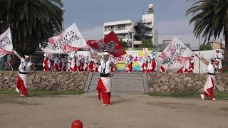 備後ばらバラ よさこい踊り隊　ふくのやまよさこい２０１７　中央公園　４ｋ