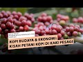 Kopi Budaya dan Ekonomi, Kisah Petani Kopi di Kaki Pesagi