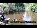 SANGAT GANAS..!! HAMPIR DI SERET IKAN TAPAH || CASTING TAPAH DI HULU SUNGAI