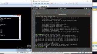 What is the ping command (lab)