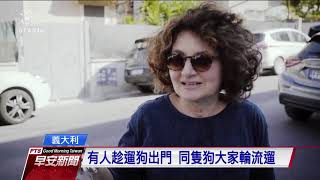 義國封城管制 有人假藉溜狗趴趴走 20200326 公視早安新聞