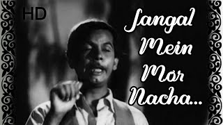 Jangal Mein Mor Nacha | Madhumati (1958) | Mohammad Rafi | Johny Walker