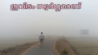 മഞ്ഞ് മൂടിയ ഒരു വയനാടൻ  ദിവസം |Day in my life Village lifestyle Bathery kitchen 🥰