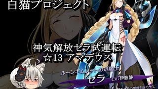 【白猫プロジェクト】神気開放セラ試運転 ☆13 アマデウス