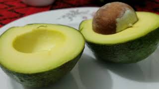 AVOCADO (এভোকাডো)