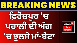 Ferozepur News | ਫ਼ਿਰੋਜ਼ਪੁਰ 'ਚ ਪਰਾਲੀ ਦੀ ਅੱਗ 'ਚ ਝੁਲਸੇ ਮਾਂ-ਬੇਟਾ | Stubble Burning | News18 Punjab