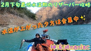 2月下旬神流湖攻略‼︎【神流湖マニアック17】