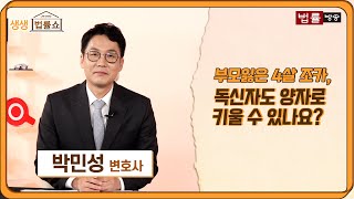 부모잃은 4살 조카, 독신자도 친양자로 키울 수 있나요? / 법률방송뉴스