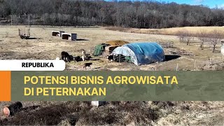 Agrowisata Jadi Bisnis Sampingan Peternakan