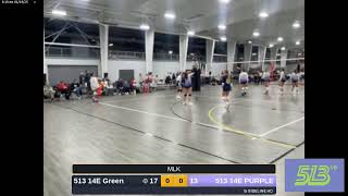 513 14E PURPLE vs. 513 14E Green (2025.01.19)