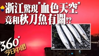 【360°今日中國】驚!滿天紅光!大陸浙江舟山突現詭異「血色天空」異象 竟和秋刀魚有關!?@全球大視野Global_Vision  20220509