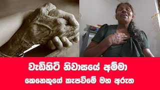 සංසාරේ සතුට සොයන මිනිසුන්