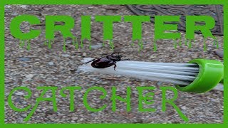 How To Remove Spiders & Bugs From Your Camper