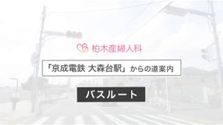 柏木産婦人科医院(千葉市中央区 )   京成電鉄 大森台駅～バスルート 道のりご案内ムービー