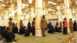 Medinah - Today Visting Riyaz ul Jannah & holy Shrine Of Prophet Muhmmad ﷺ
