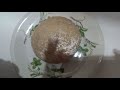 How to prepare  Oat fufu so delicious.