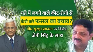 गन्ने में लगने वाले कीट-रोगों से कैसे करें फसल का बचाव? | Sugarcane Crop Pests \u0026 Diseases Management