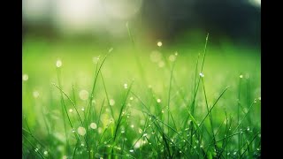 “Calming nature meditation music for anxiety and stress relief”