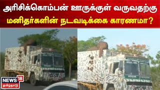 Elephant | அரிசிக்கொம்பன் ஊருக்குள் வருவதற்கு மனிதர்களின் நடவடிக்கை காரணமா? | Tamil News