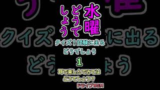 水曜どうでしょう クイズ！試験に出るどうでしょう １