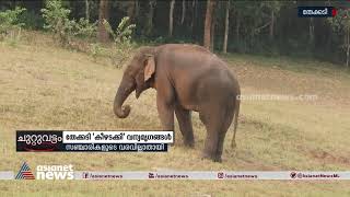 തേക്കടി 'കീഴടക്കി ' വന്യമൃഗങ്ങള്‍ | Thekkady Tourism