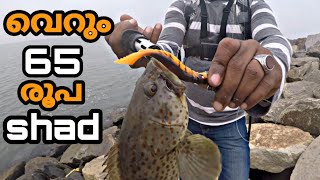 #grouper #hamoor #fishing grouper catching shad | hamoor fishing kerala harbour (malayalam).