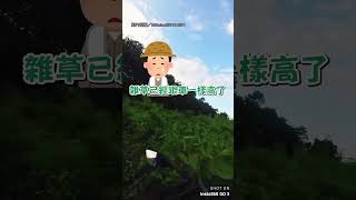 【重機秒變越野車】被導航帶去奇怪小路 騎士: 這種路也能收進來｜導航｜地圖｜驚喜｜重機｜傻眼