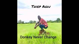 Donkey Never Change by Thiep Agiu