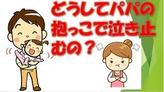 父親の育児。パパの抱っこで赤ちゃんが泣きやむのは何故？