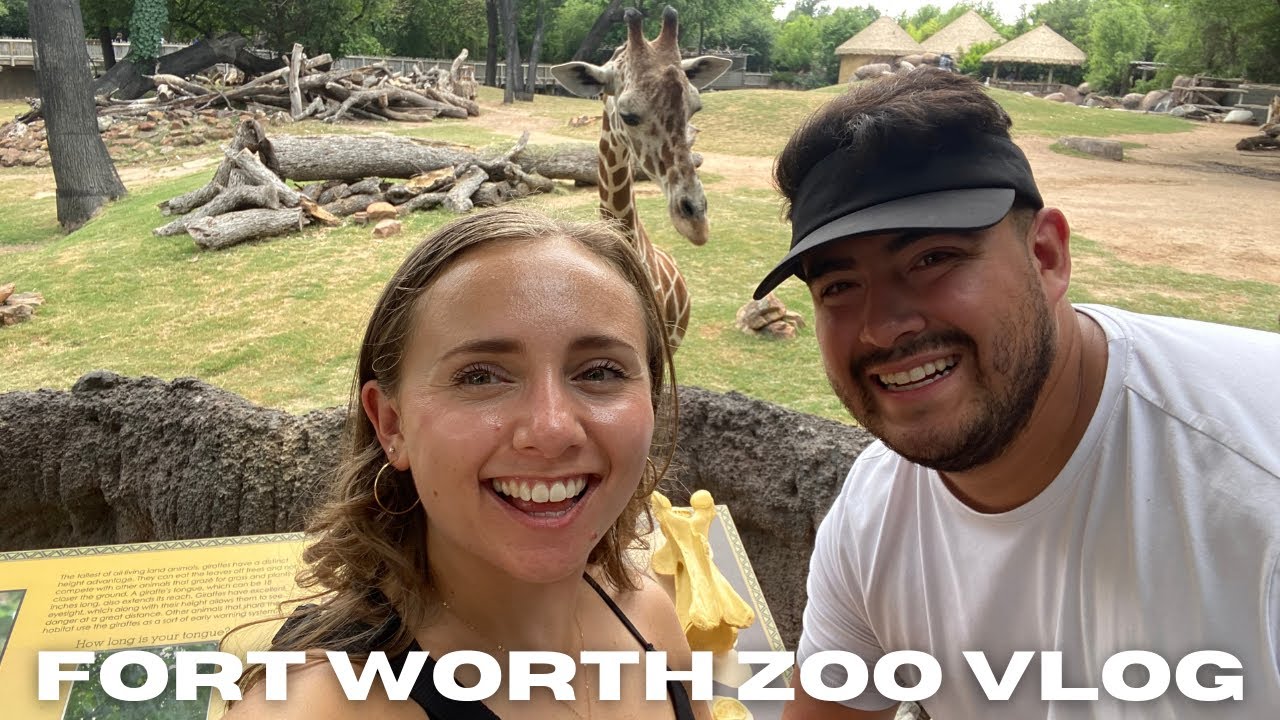 BEST ZOO IN THE US | Fort Worth Zoo Vlog | Things To Do In Fort Worth ...