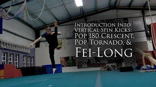 Introduction Into Vertical Spin Kicks | Pop 180 Crescent | Pop Tornado | Fei-Long