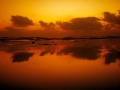 Romantic Sunset Downtempo [Michael e. - Fall In Love With Me] | ♫ RE ♫