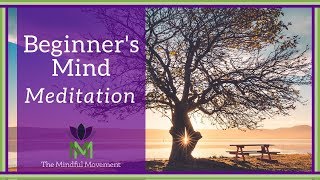 Let Go of Self-Judgement: 30 Minute Mindfulness Meditation for Practicing a Beginner's Mind