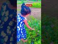 কিসি নে ফুল সে পুছা 🌻🌻🌺 shrtos video subscribe