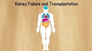 Kidney failure and transplantation