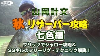 山岡計文 秋のリザーバー攻略 七色編 ブリッツでシャロー攻略＆SSギルのフリーリグ・テクニック解説！