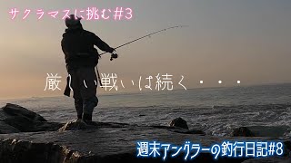 【週末アングラーの釣行日記】釣行日記№8【サクラマスに挑む№3】今日も朝練・・・、厳しい戦いは続きますねぇ～